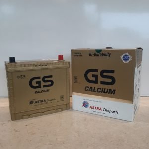 GS Calcium